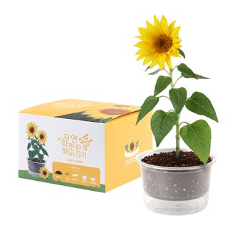 �ڿ��� ���̰��� ȭ�� ŰƮ- �عٶ��