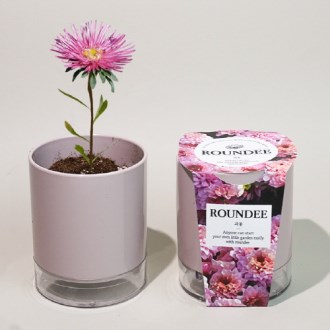 ���� ȭ�� ����-����