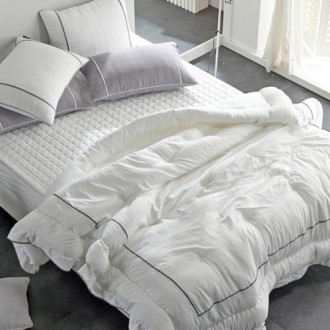 ���ϸ� ���� ���� ����� �����̺� �̱�/�� 2����  ����ħ���������� 