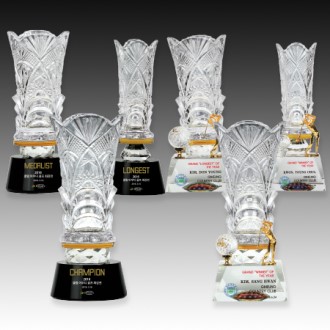 ũ����Ż �� Ʈ���� S8A192