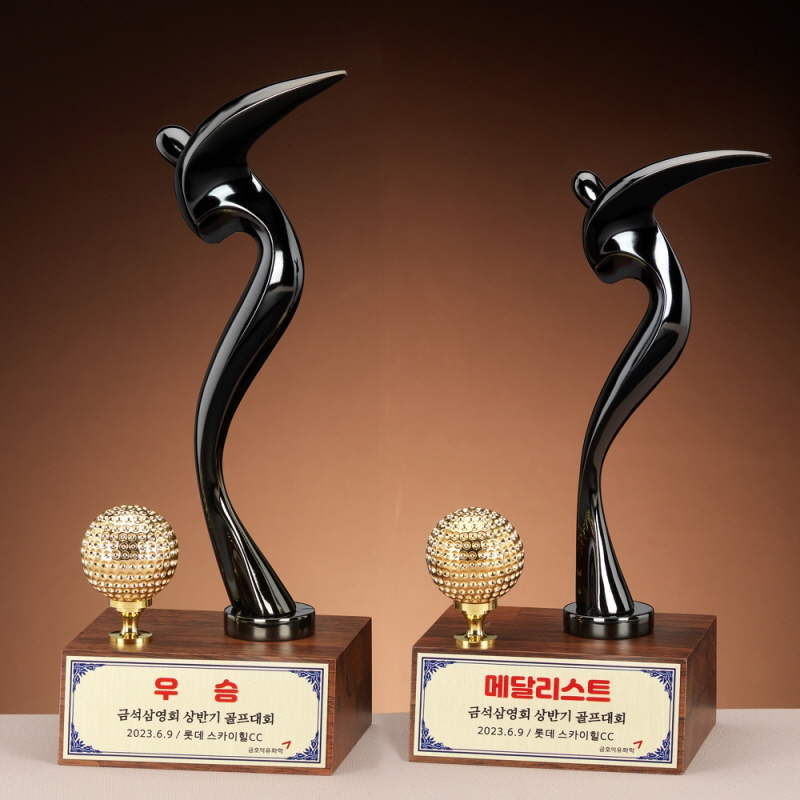 Ʈ���� SAM24T010